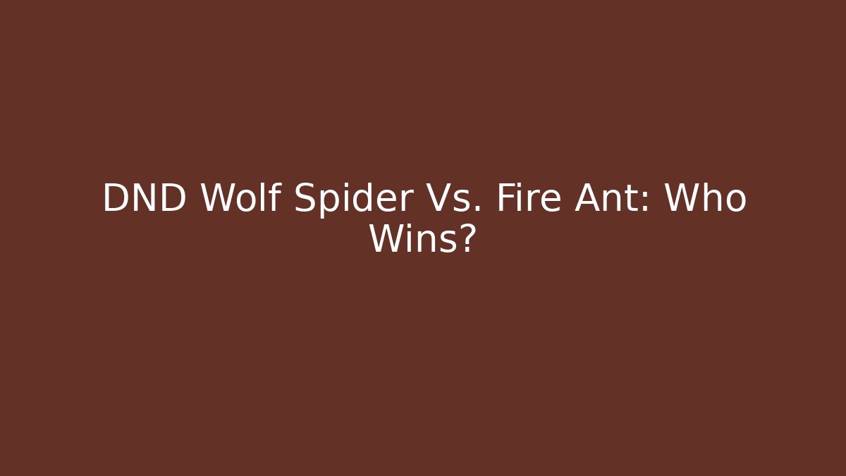 DND Wolf Spider Vs. Fire Ant: Who Wins?