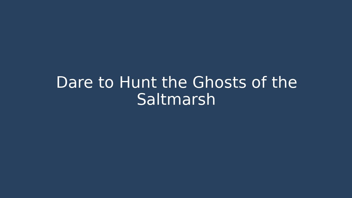 Dare to Hunt the Ghosts of the Saltmarsh