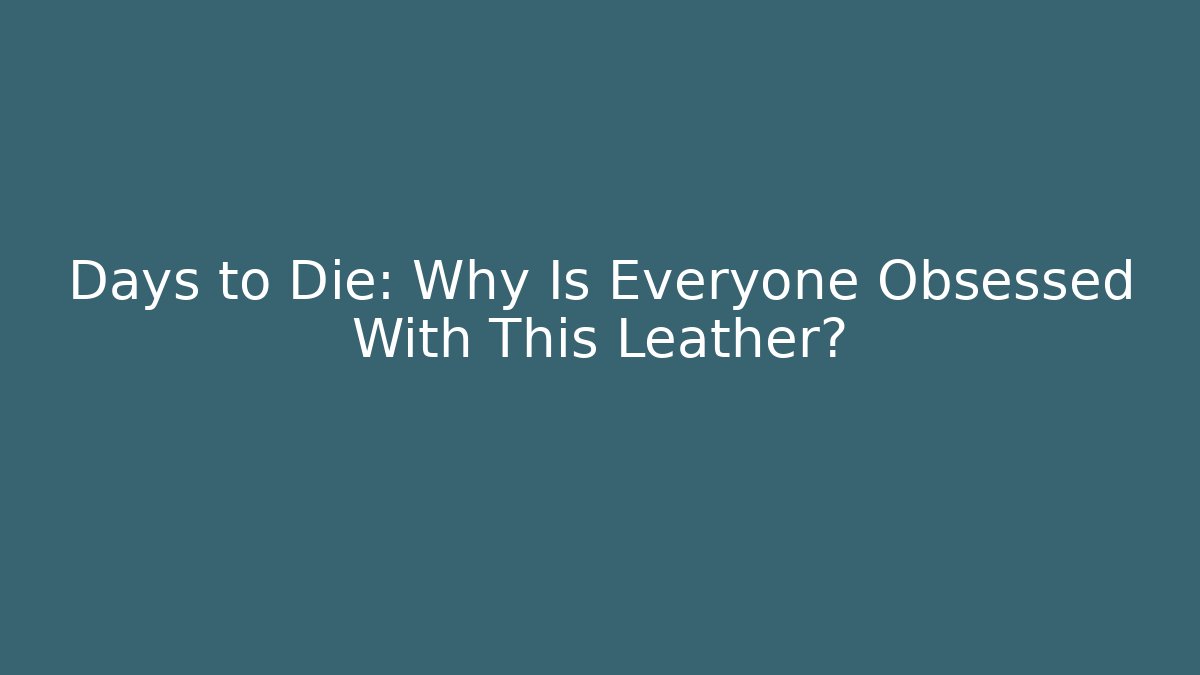 Days to Die: Why Is Everyone Obsessed With This Leather?