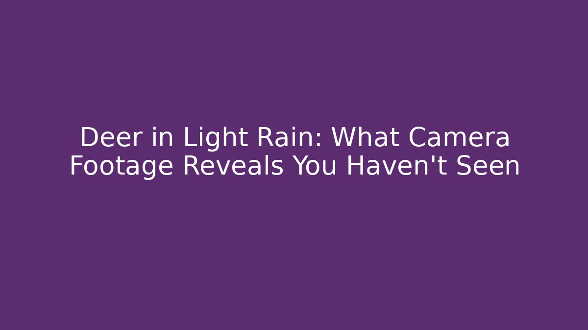 Deer in Light Rain: What Camera Footage Reveals You Haven't Seen