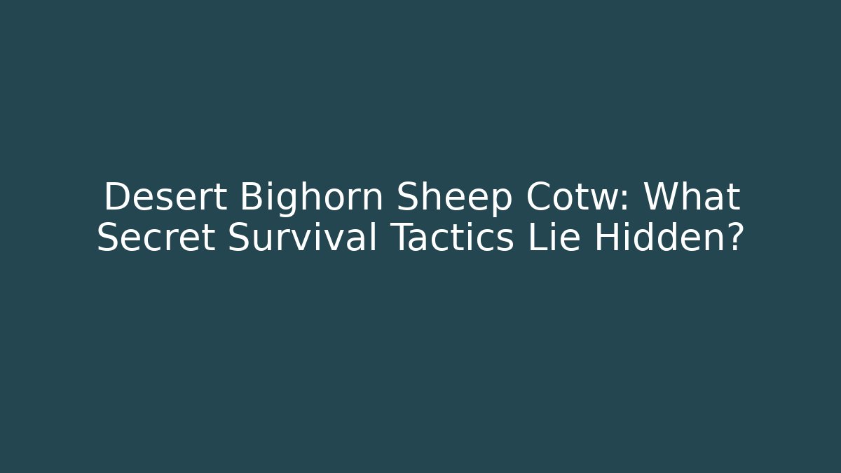 Desert Bighorn Sheep Cotw: What Secret Survival Tactics Lie Hidden?