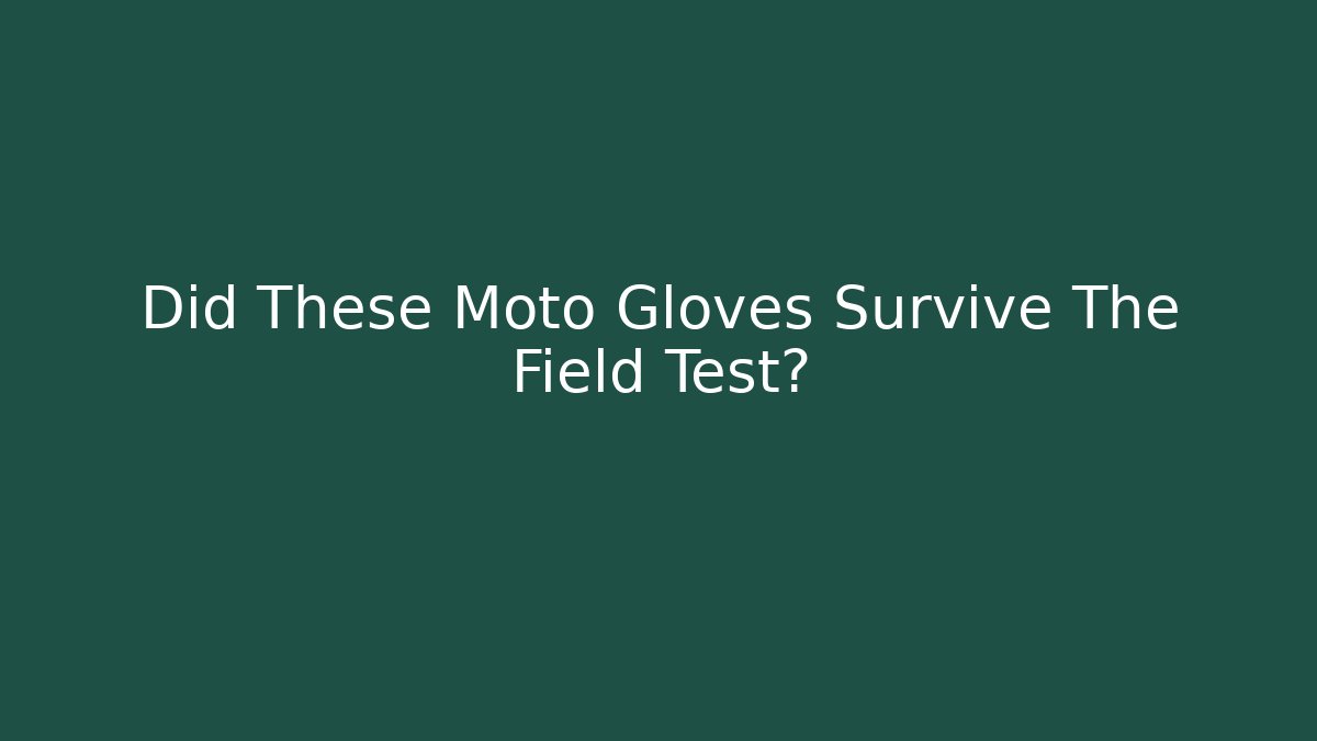 Did These Moto Gloves Survive The Field Test?