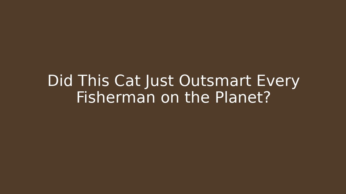 Did This Cat Just Outsmart Every Fisherman on the Planet?