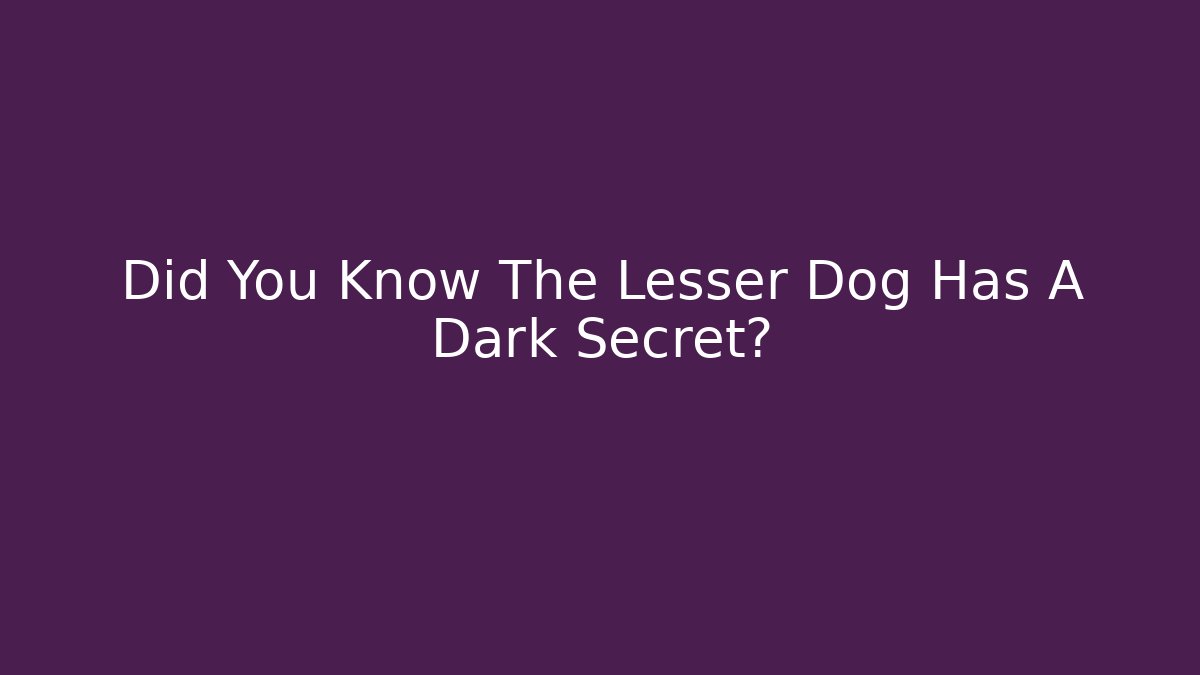 Did You Know The Lesser Dog Has A Dark Secret?