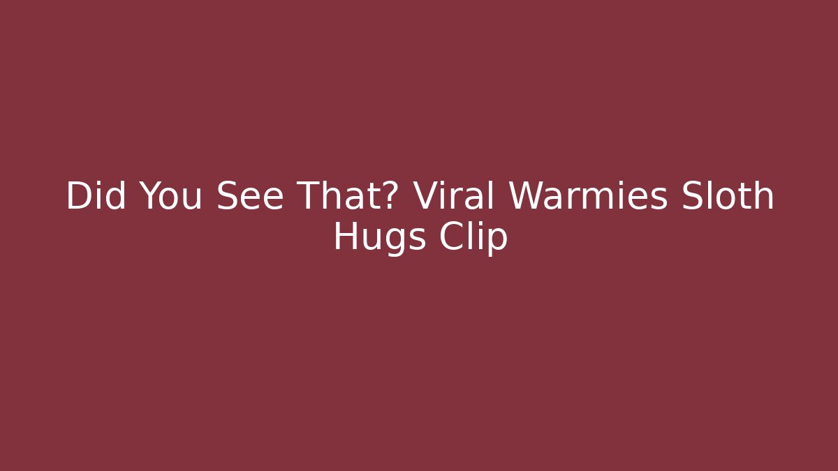 Did You See That? Viral Warmies Sloth Hugs Clip