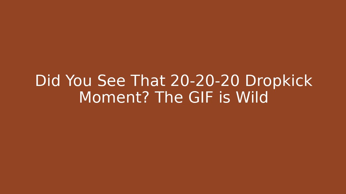 Did You See That 20-20-20 Dropkick Moment? The GIF is Wild
