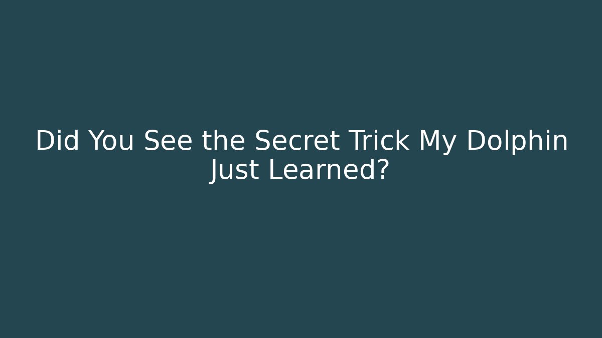 Did You See the Secret Trick My Dolphin Just Learned?