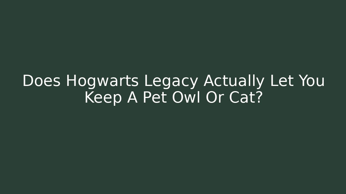 Does Hogwarts Legacy Actually Let You Keep A Pet Owl Or Cat?