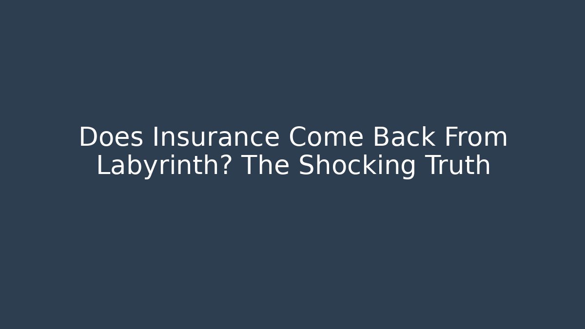 Does Insurance Come Back From Labyrinth? The Shocking Truth - Create More Assets