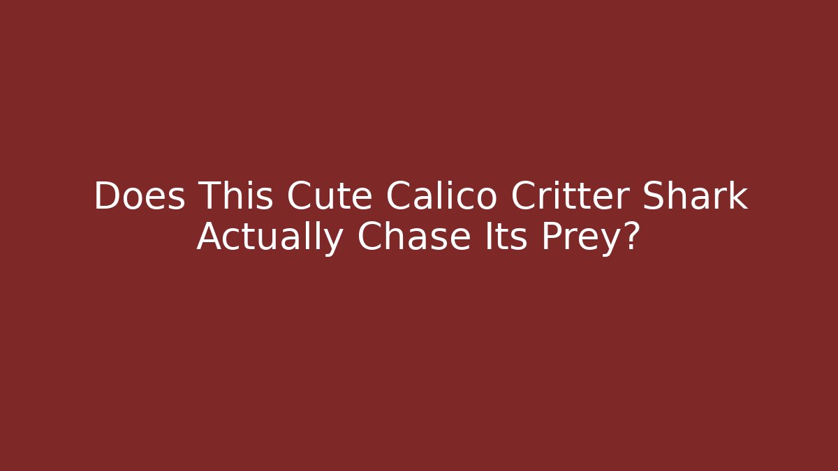 Does This Cute Calico Critter Shark Actually Chase Its Prey?