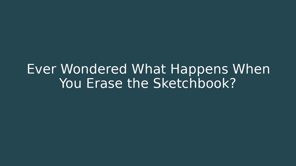 Ever Wondered What Happens When You Erase the Sketchbook?