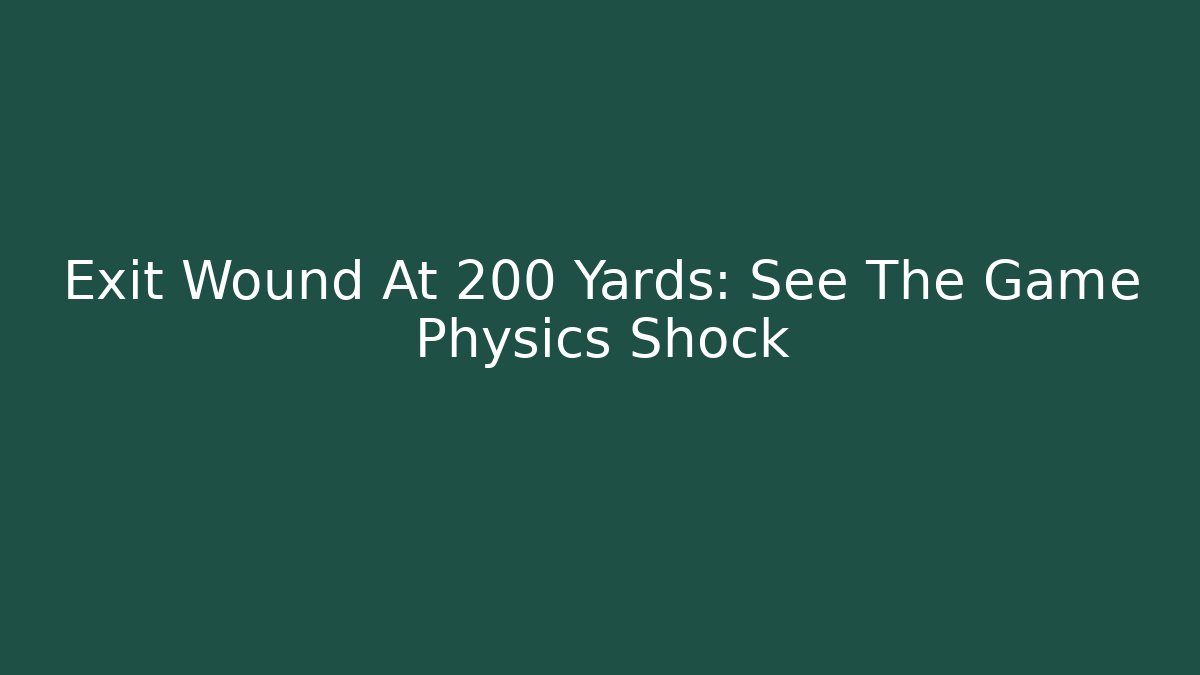 Exit Wound At 200 Yards: See The Game Physics Shock
