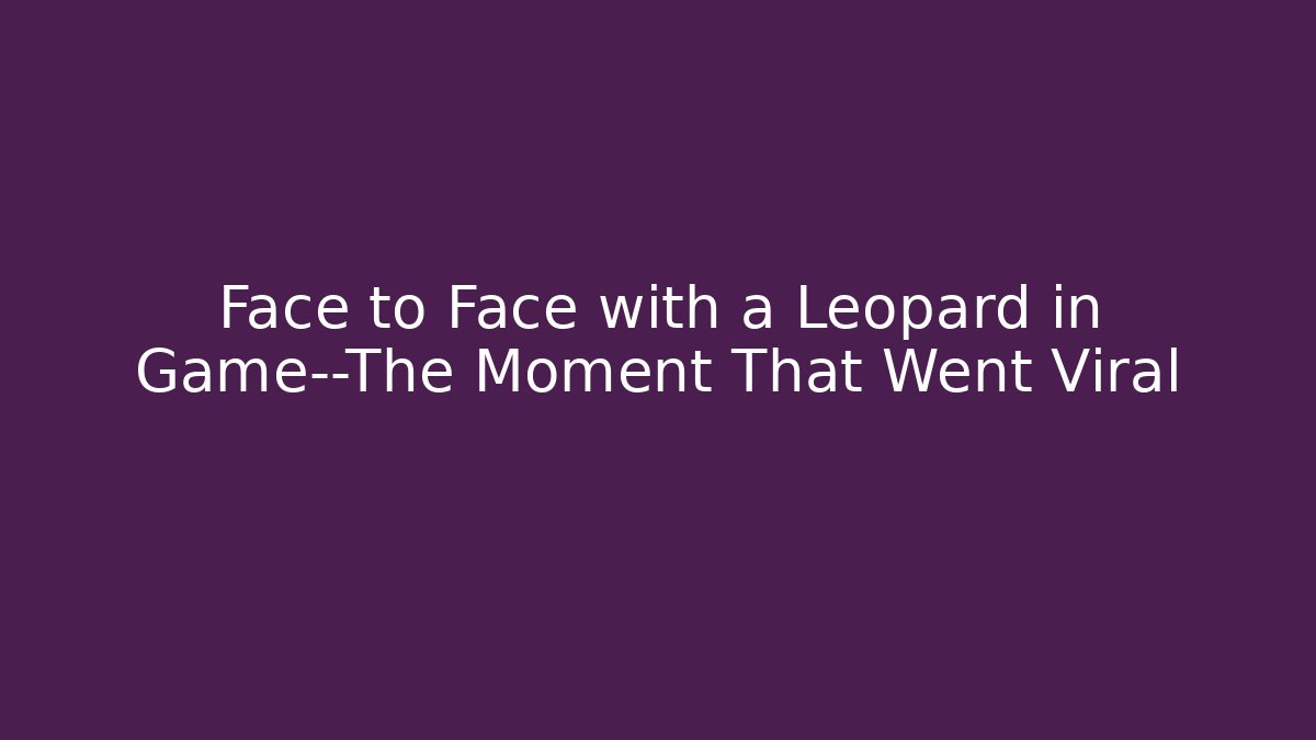 Face to Face with a Leopard in Game—The Moment That Went Viral