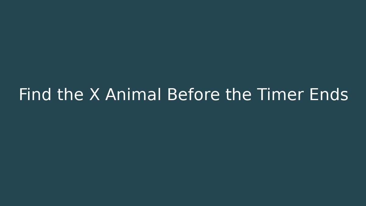 Find the X Animal Before the Timer Ends