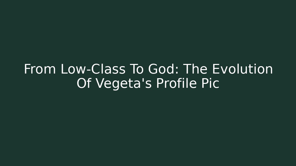 From Low-Class To God: The Evolution Of Vegeta's Profile Pic