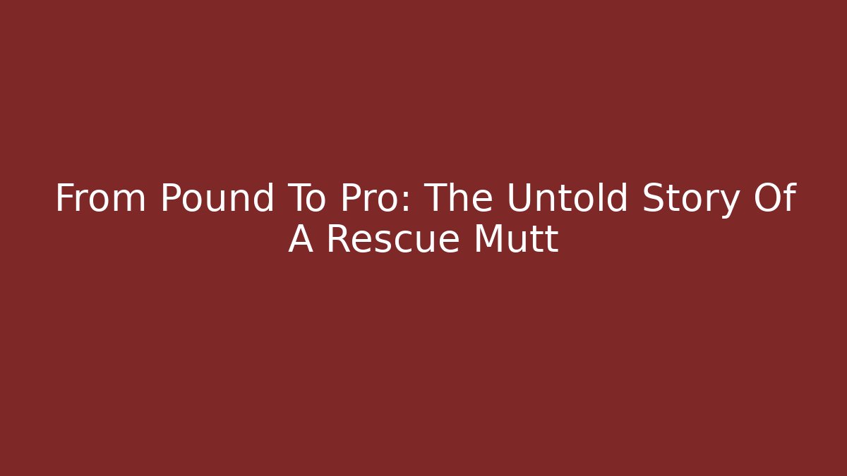 From Pound To Pro: The Untold Story Of A Rescue Mutt