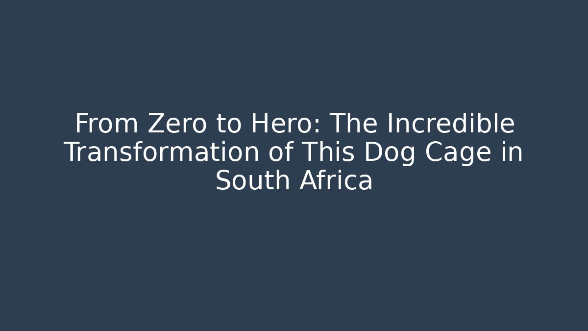 From Zero to Hero: The Incredible Transformation of This Dog Cage in South Africa