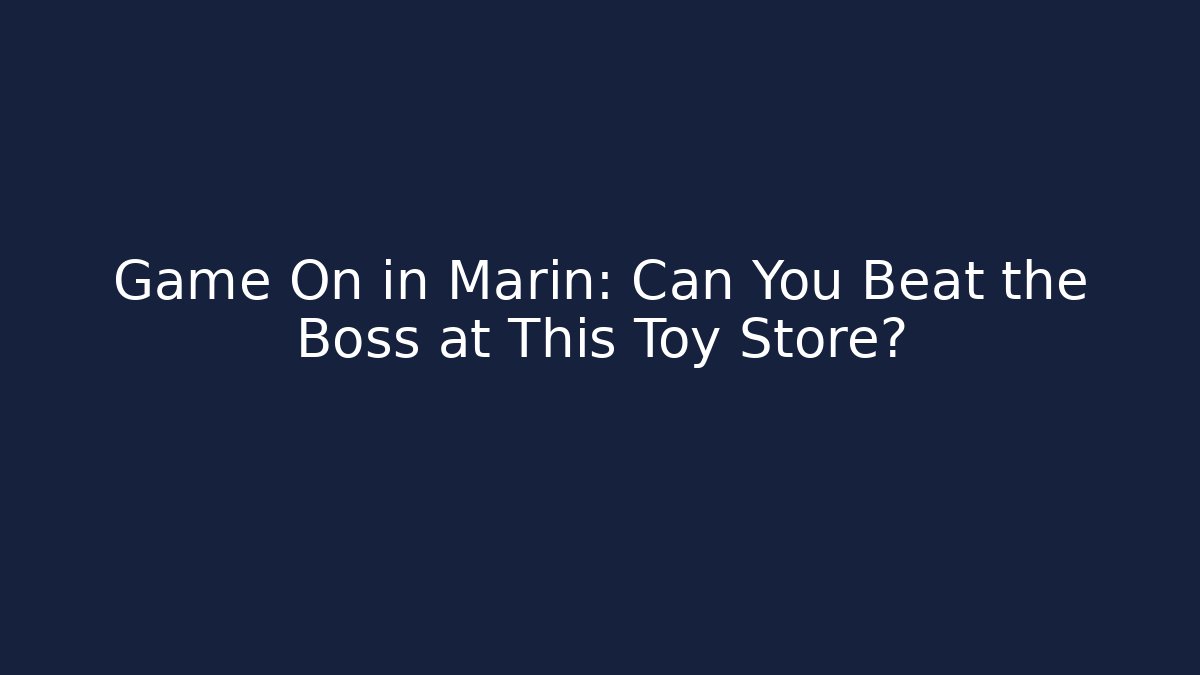 Game On in Marin: Can You Beat the Boss at This Toy Store?