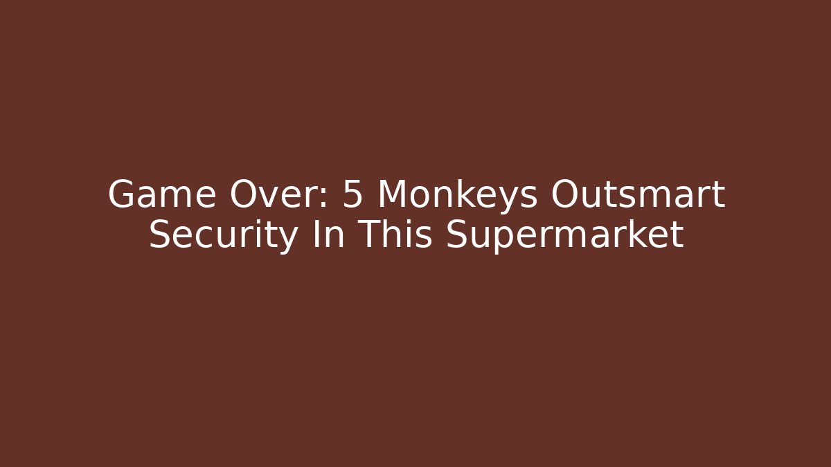 Game Over: 5 Monkeys Outsmart Security In This Supermarket - Create More Assets