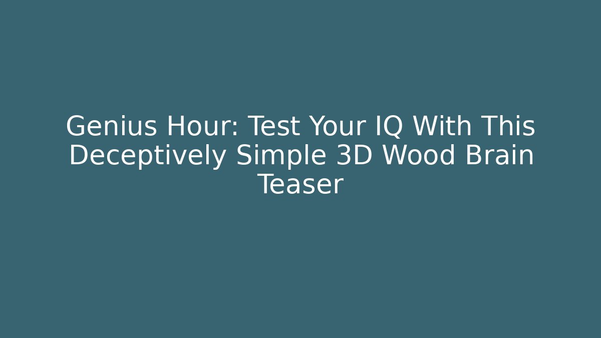 Genius Hour: Test Your IQ With This Deceptively Simple 3D Wood Brain Teaser