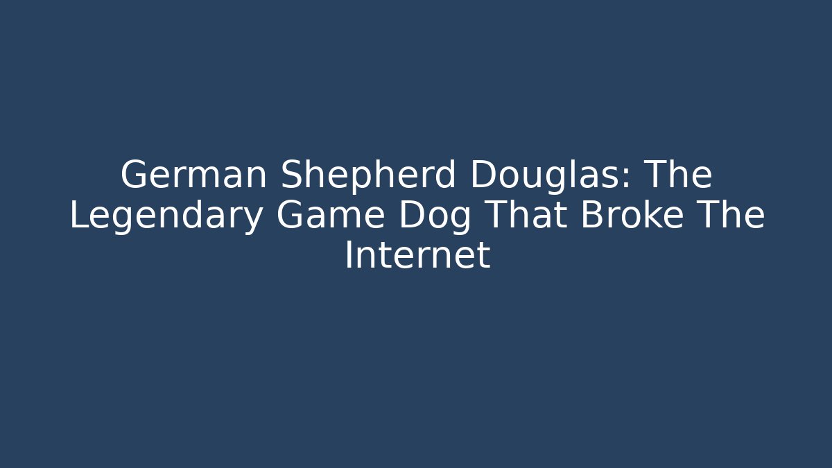 German Shepherd Douglas: The Legendary Game Dog That Broke The Internet