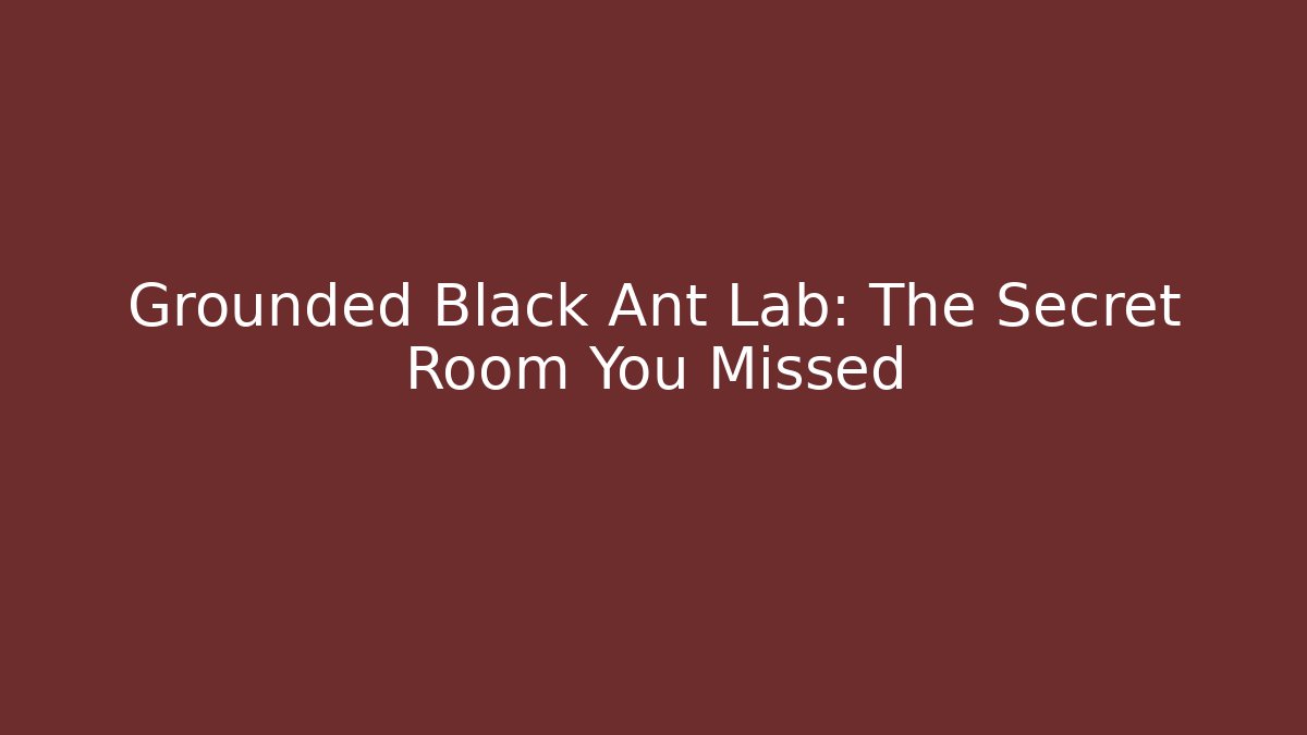 Grounded Black Ant Lab: The Secret Room You Missed
