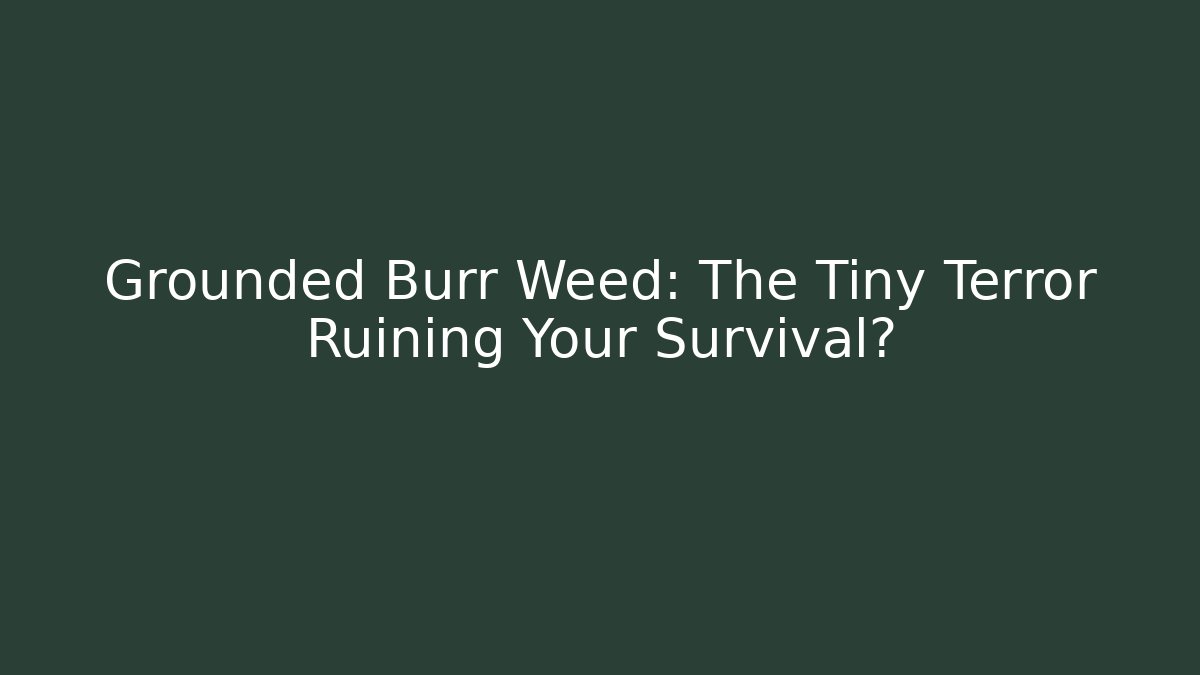Grounded Burr Weed: The Tiny Terror Ruining Your Survival?