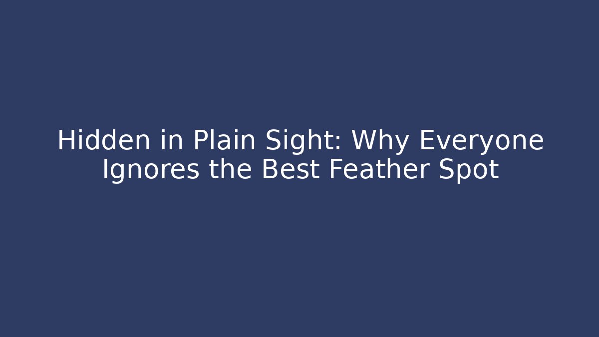 Hidden in Plain Sight: Why Everyone Ignores the Best Feather Spot
