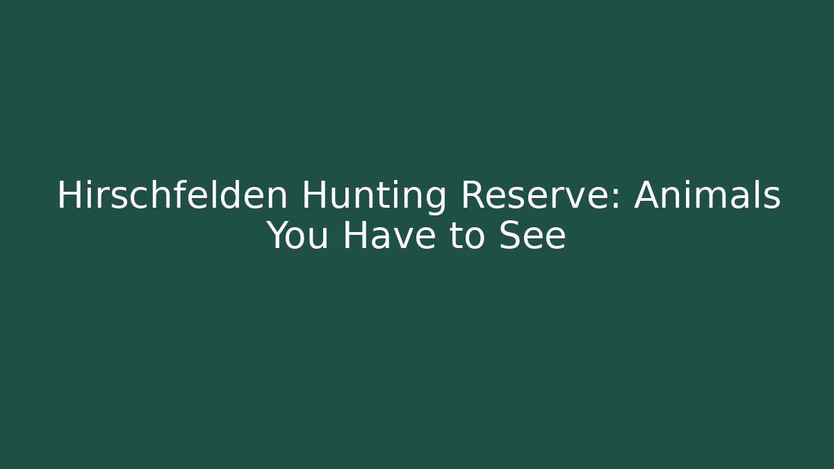Hirschfelden Hunting Reserve: Animals You Have to See
