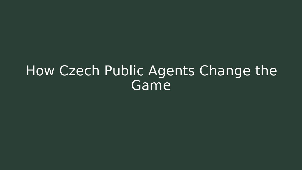 How Czech Public Agents Change the Game