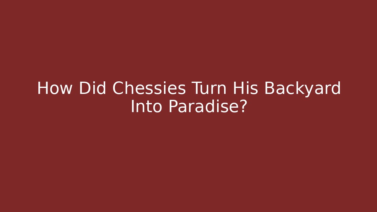 How Did Chessies Turn His Backyard Into Paradise? - Create More Assets