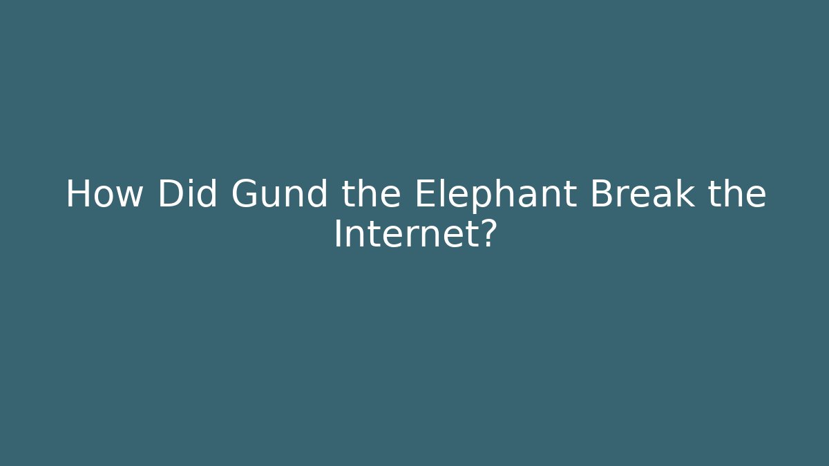 How Did Gund the Elephant Break the Internet?