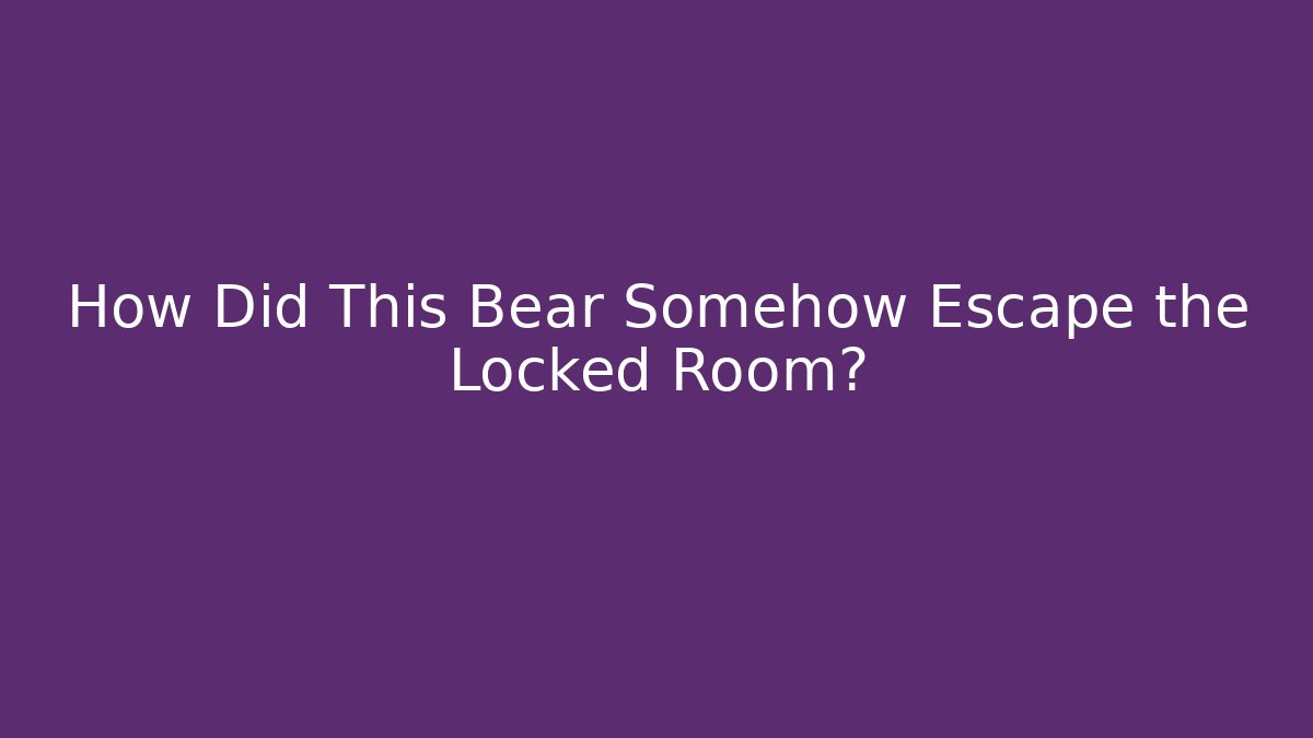 How Did This Bear Somehow Escape the Locked Room?