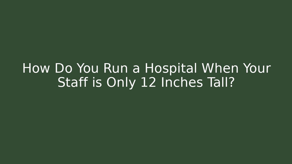 How Do You Run a Hospital When Your Staff is Only 12 Inches Tall?