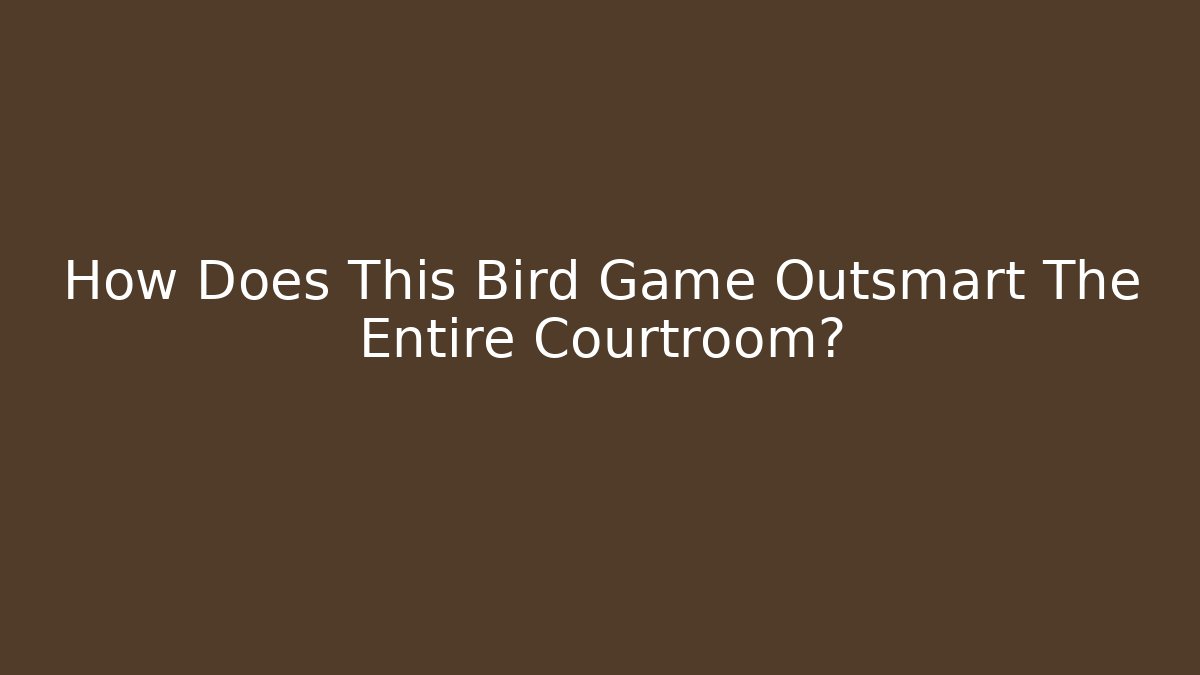 How Does This Bird Game Outsmart The Entire Courtroom?