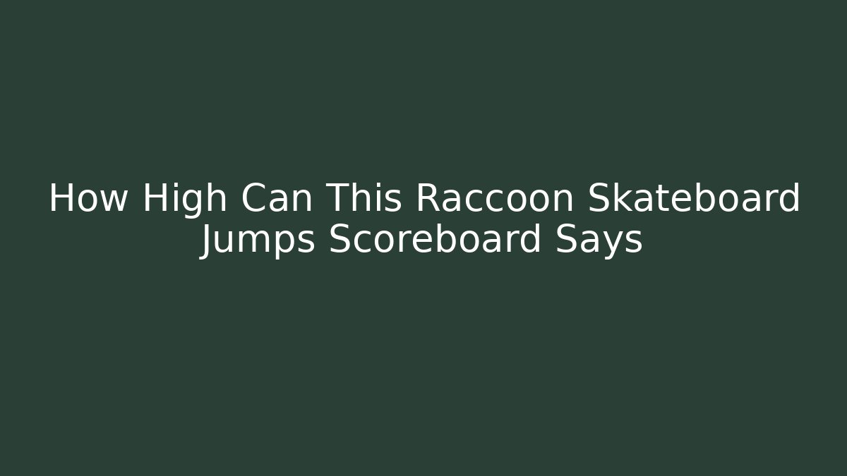 How High Can This Raccoon Skateboard Jumps Scoreboard Says