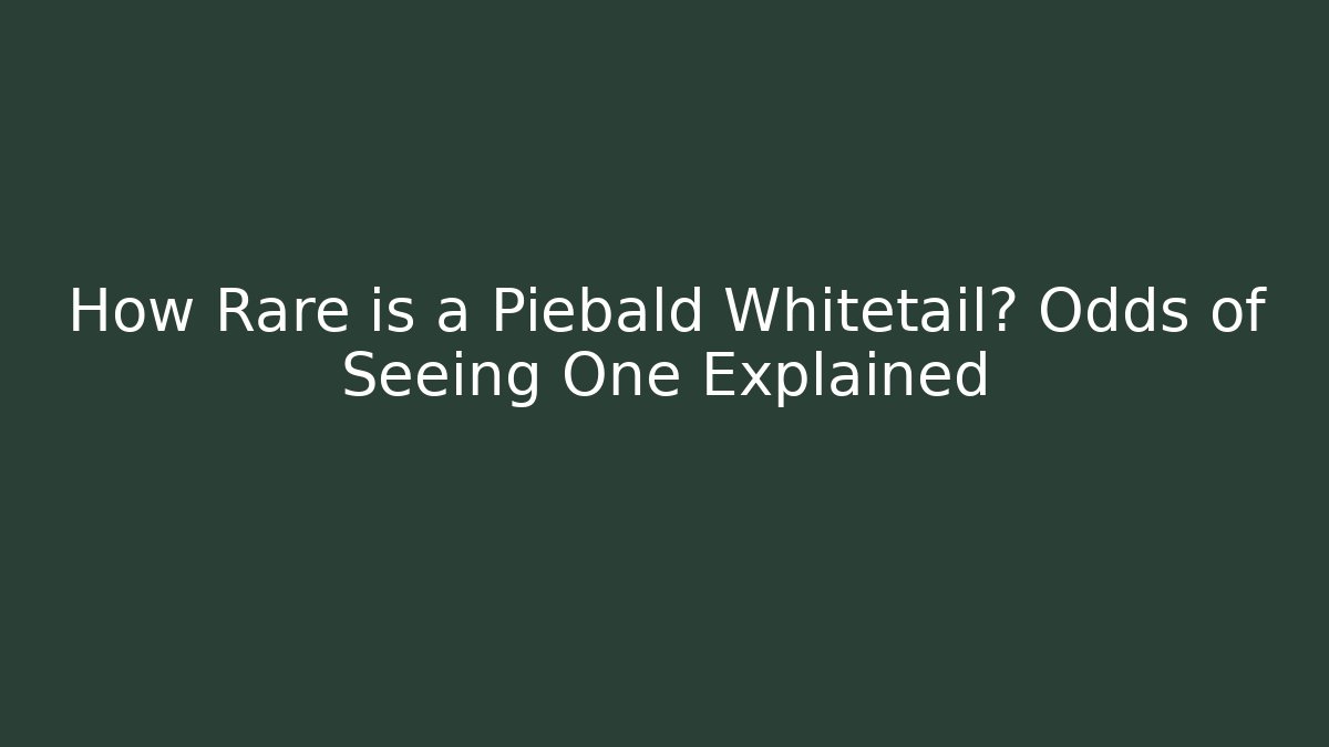 How Rare is a Piebald Whitetail? Odds of Seeing One Explained