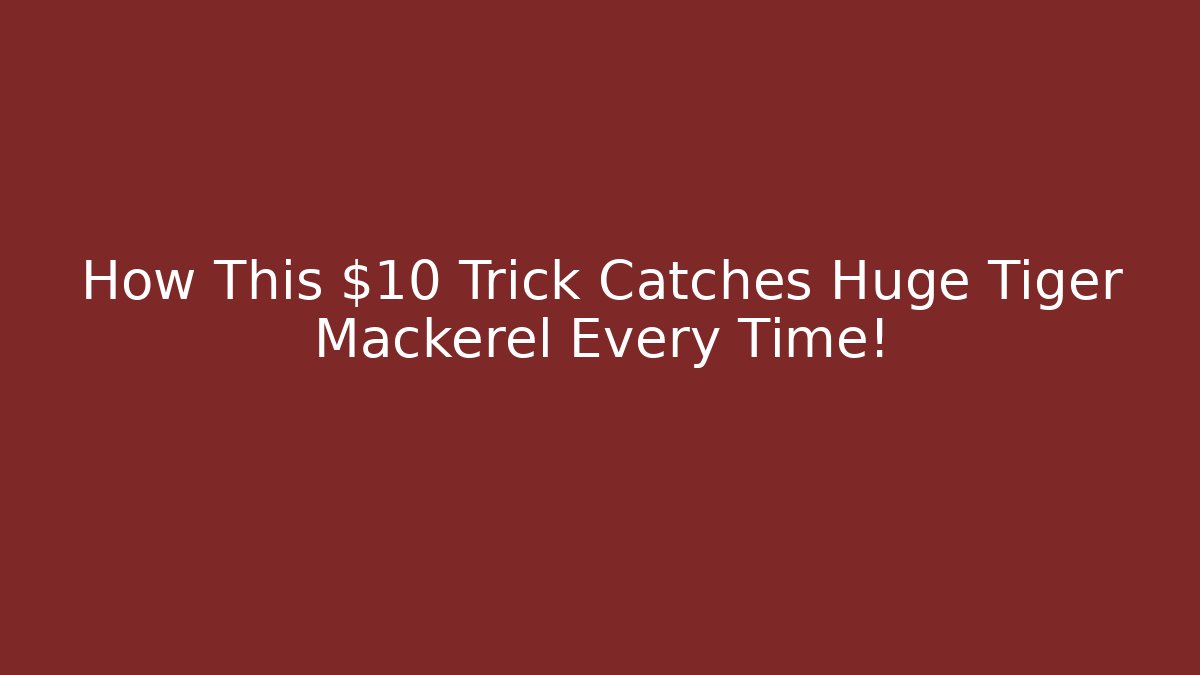 How This $10 Trick Catches Huge Tiger Mackerel Every Time!