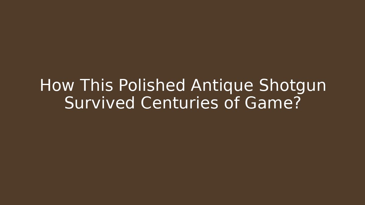 How This Polished Antique Shotgun Survived Centuries of Game?