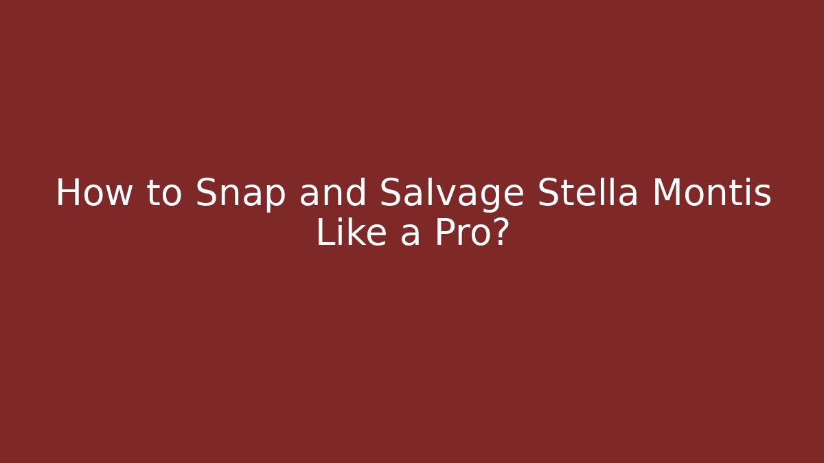 How to Snap and Salvage Stella Montis Like a Pro?