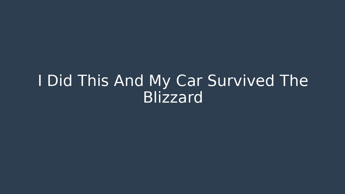 I Did This And My Car Survived The Blizzard