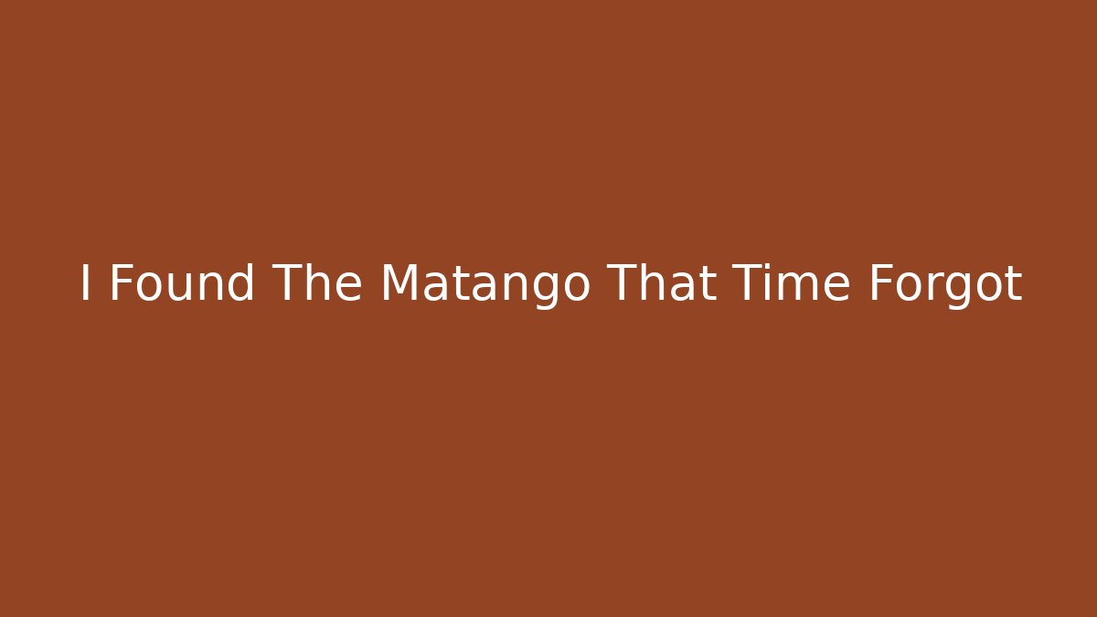 I Found The Matango That Time Forgot - Create More Assets
