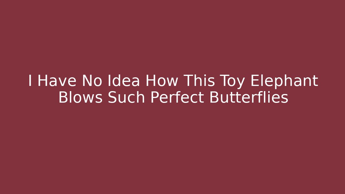I Have No Idea How This Toy Elephant Blows Such Perfect Butterflies