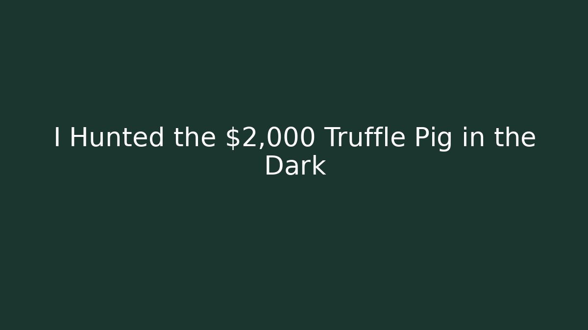 I Hunted the $2,000 Truffle Pig in the Dark