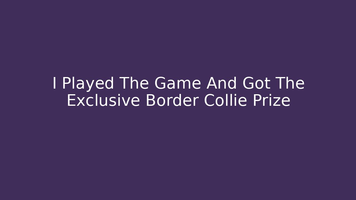 I Played The Game And Got The Exclusive Border Collie Prize