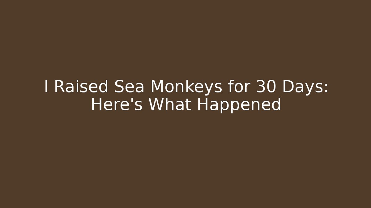 I Raised Sea Monkeys for 30 Days: Here’s What Happened