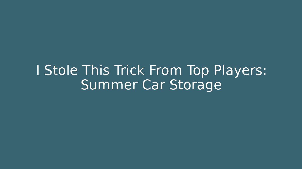 I Stole This Trick From Top Players: Summer Car Storage