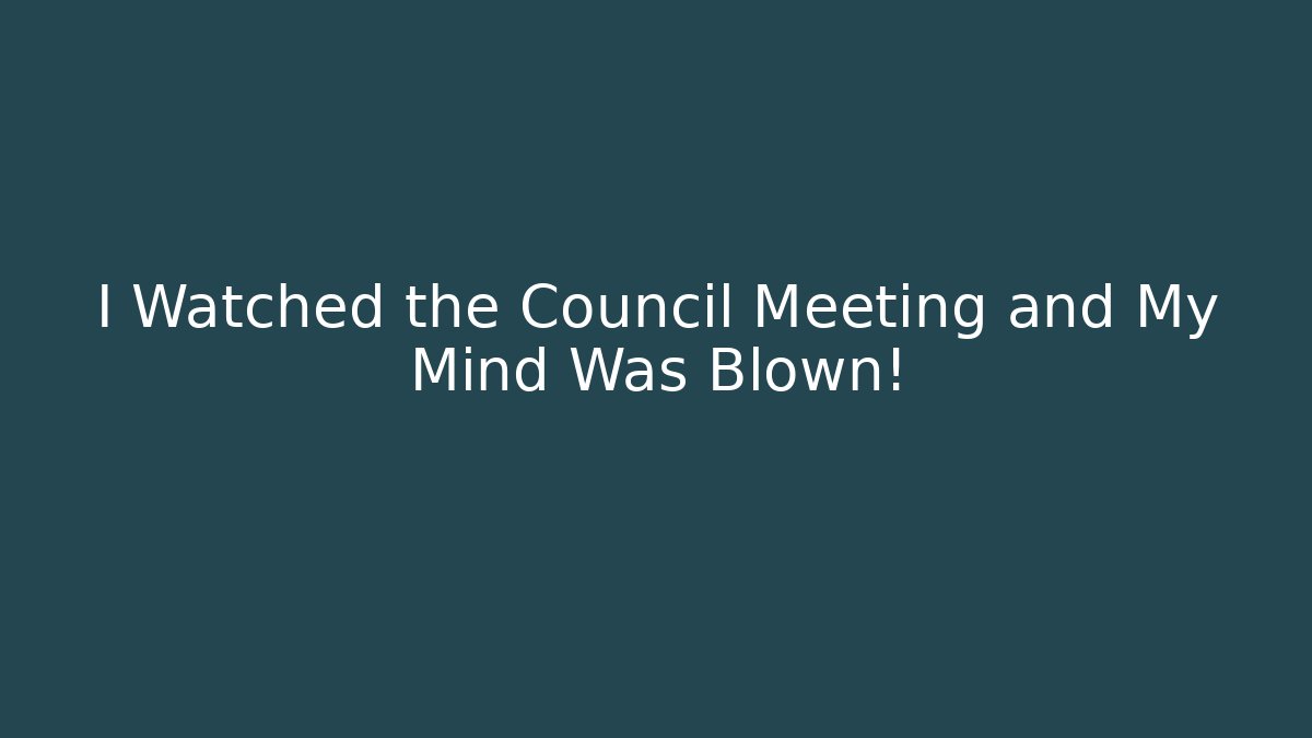 I Watched the Council Meeting and My Mind Was Blown!