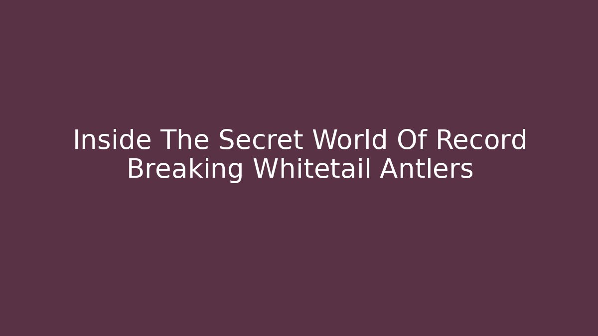 Inside The Secret World Of Record Breaking Whitetail Antlers