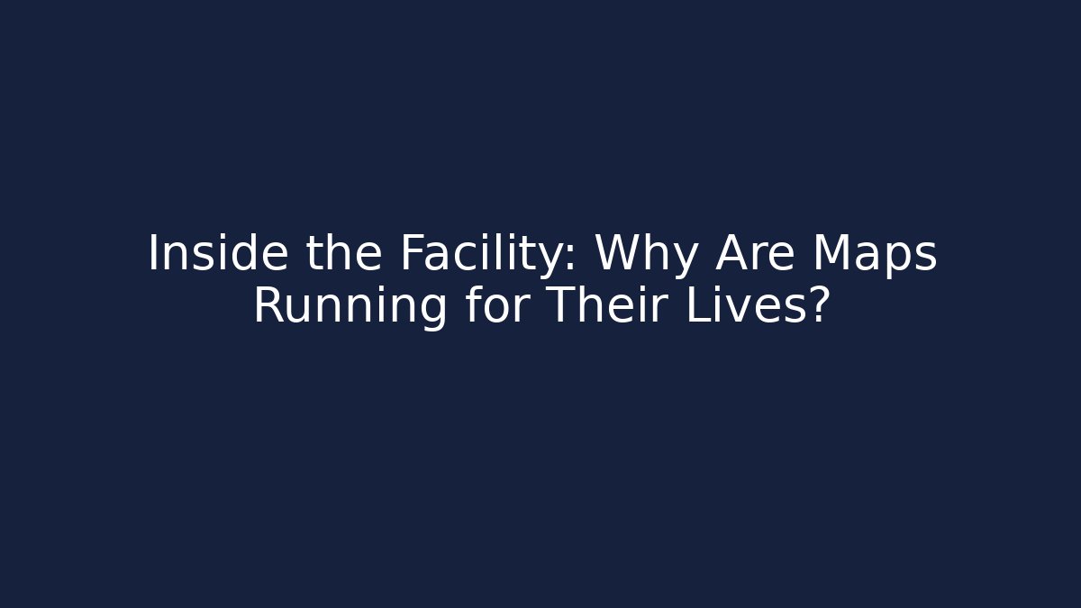 Inside the Facility: Why Are Maps Running for Their Lives? - Create More Assets